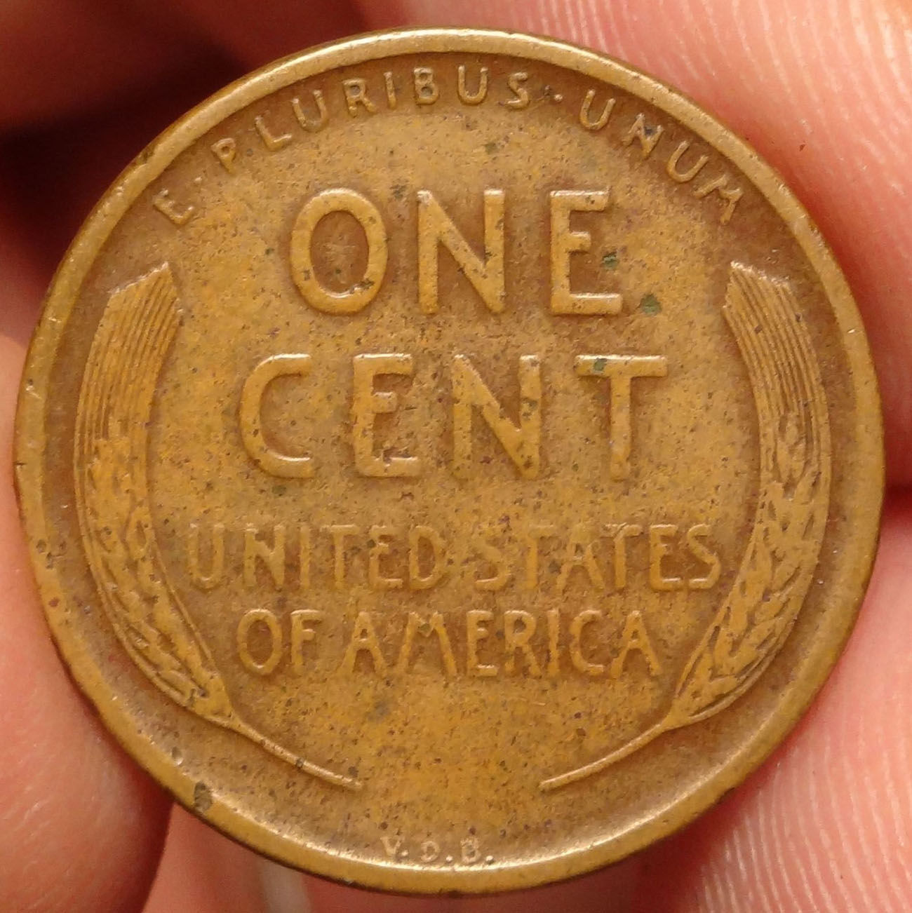 Has-This-Coin-Been-